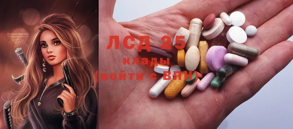 молекула духа Богородицк