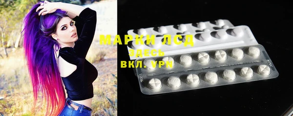 гашик Богданович