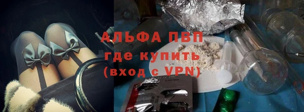 молекула духа Богородицк