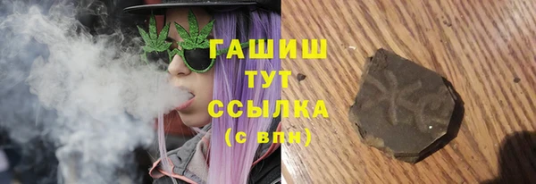 молекула духа Богородицк