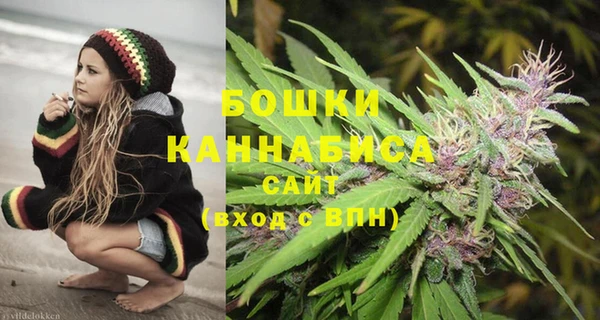 гашик Богданович
