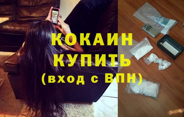 молекула духа Богородицк