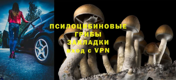 гашик Богданович