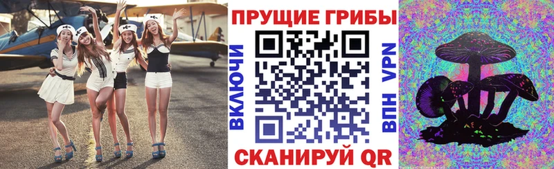 Псилоцибиновые грибы ЛСД  blacksprut сайт  Юрга 